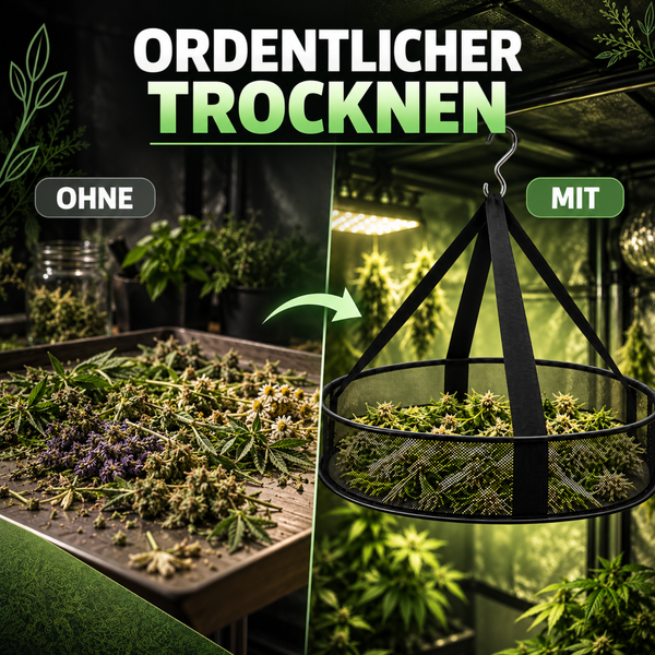 Set mit Ernteschere, Trocknungsnetz, Hygrometer, Aufbewahrungsgläsern, Trimming Tray und Feuchtigkeitsreglern zur optimalen Pflanzenverarbeitung.
