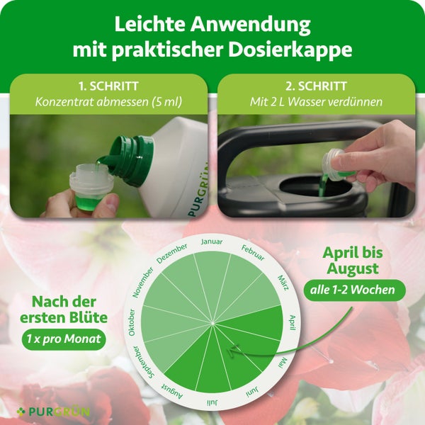 Anleitung: 5 Milliliter Konzentrat in 2 Liter Wasser. Anwendung von April bis August alle 1 bis 2 Wochen sowie nach der ersten Blüte monatlich.