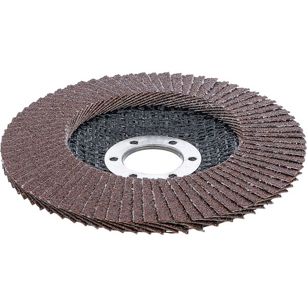 Schleifscheibe mit Lamellen und Metallscheibe