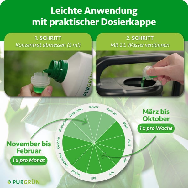 Anwendungsanleitung für Purgrün Dünger mit Dosierschritten und Anwendungskalender für die monatliche oder wöchentliche Düngung von Pflanzen.