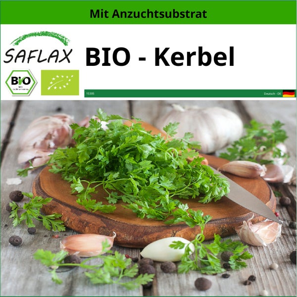 SAFLAX  - BIO - Kerbel - Anthriscus cerefolium - 800 Samen - Mit keimfreiem Anzuchtsubstrat