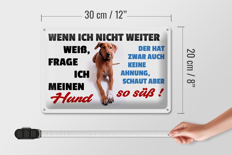 Blechschild Spruch 30x20cm wenn ich nicht weiter weiß Hund