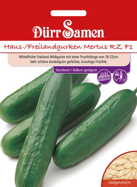 Dürr Samen Logo, Samentüte für Haus- und Freilandgurken Mertus RZ F1 mit Abbildung von Gurken und Samenansicht, geeignet für Hochbeet und Balkon.