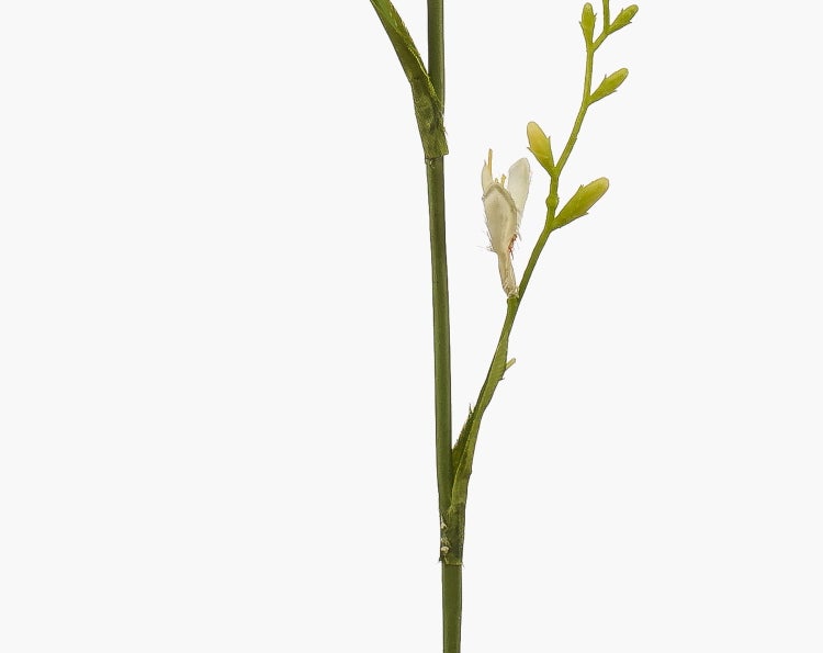 Künstliche Hortensie mit weißer Blüte und grünen Blättern.