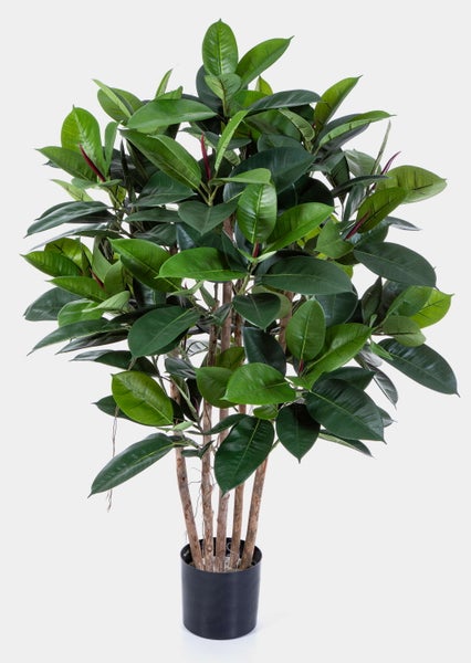 Künstlicher Gummibaum Ficus elastica mit großen, ovalen grünen Blättern und dunkelroten Blattknospen.
