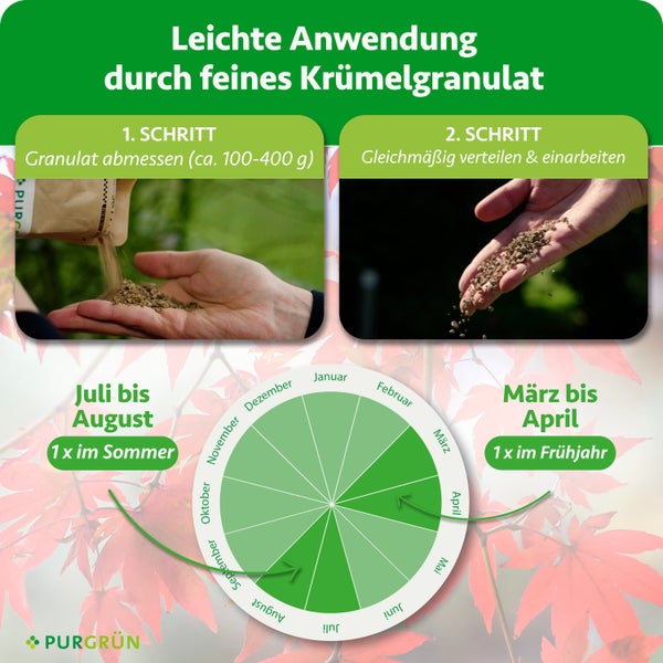 Infografik zur Anwendung von PURGRÜN Dünger: Schritt eins Abmessen, Schritt zwei Verteilen. Anwendung im Frühjahr und Sommer. PURGRÜN Logo.
