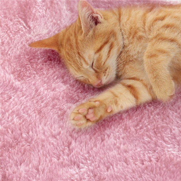 Schlafende Katze auf einer weichen Decke