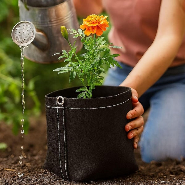 Eine Person gießt eine orangefarbene Blume in einem schwarzen Pflanzsack aus Vliesstoff im Garten.
