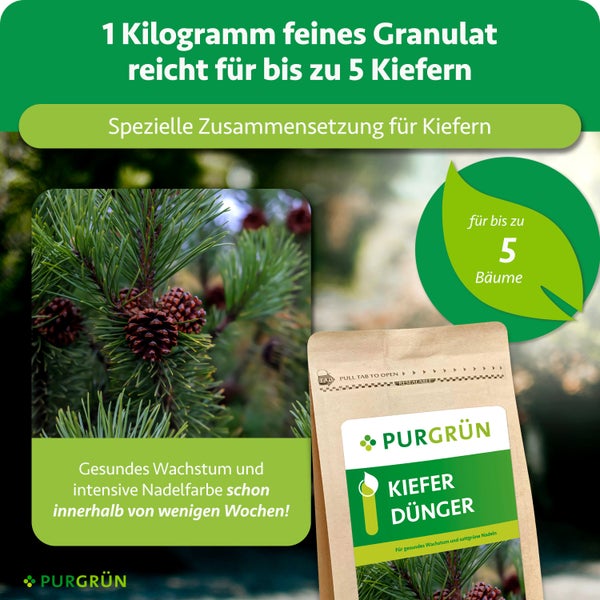 Purgrün Kieferndünger 1 Kilogramm feines Granulat für gesundes Wachstum und intensive Nadelfarbe für bis zu 5 Kiefern. Purgrün Logo.
