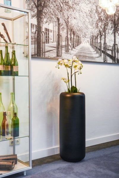 Hoher zylindrischer schwarzer Pflanzkübel mit weißer Orchidee in modernem Zimmer neben einer Glasvitrine.