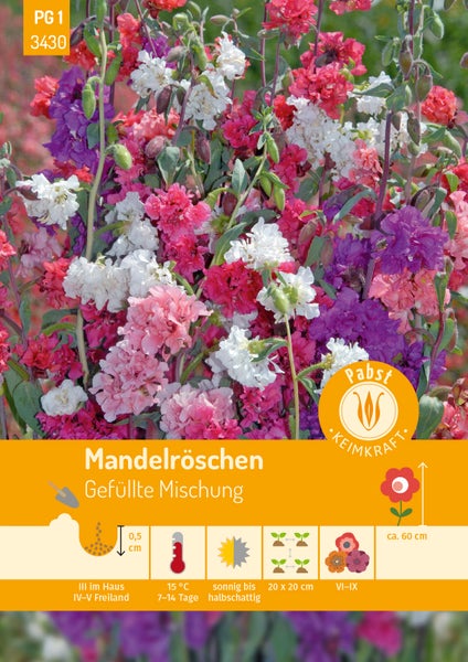 Samentüte für Mandelröschen Gefüllte Mischung mit weißen, rosa und violetten Blüten. Pabst KEIMKRAFT Logo. Symbole für Aussaat, Standort und Wuchshöhe circa 60 cm.