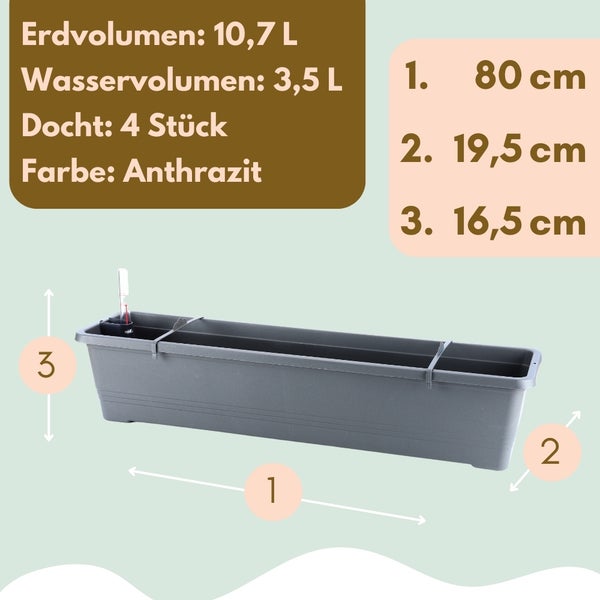 Anthrazitfarbener Pflanzkasten mit den Maßen 80 cm Länge, 19,5 cm Breite und 16,5 cm Höhe.