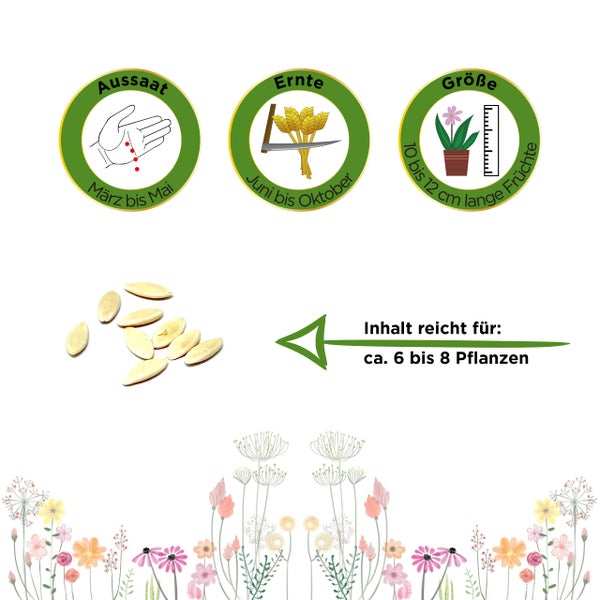 Informationen zur Aussaat von März bis Mai, Ernte von Juni bis Oktober, Fruchtgröße 10 bis 12 cm, Inhalt für circa 6 bis 8 Pflanzen.