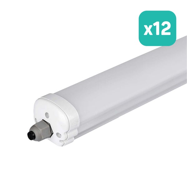 LED-Feuchtraumleuchte, 12er-Pack