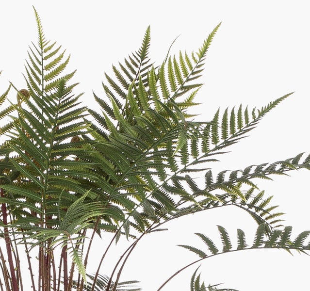 Künstlicher Ficus Benjamina mit gemusterten Blättern und detailreichen Zweigen.