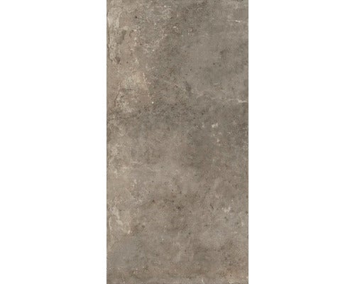 Wand- und Bodenfliese Watford taupe 60x120 cm