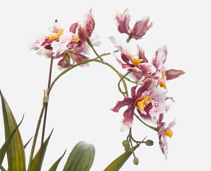 Künstlicher Kirschblütenzweig mit weißen und zartrosa Blüten und gelben Staubgefäßen auf braunem Stiel.
