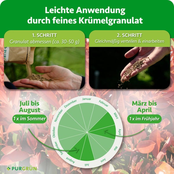 Anwendungshinweise für Purgrün Granulat mit zwei Schritten zur Dosierung sowie einem Jahreskalender für die optimale Düngung im Frühjahr und Sommer.
