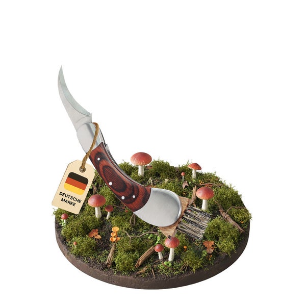 Pilzmesser mit gebogener Edelstahlklinge, Holzgriff und integrierter Reinigungsbürste auf Moos mit Pilzen. Siegel Deutsche Marke.