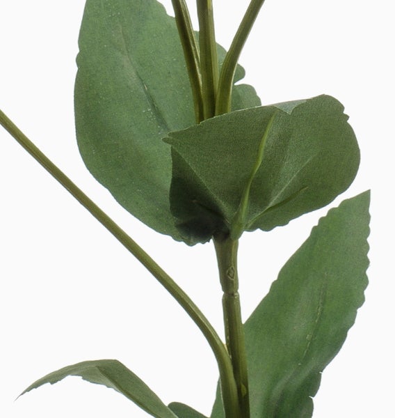 Schwarzer Pflanztopf mit horizontalen Ringen und grüner Pflanze.