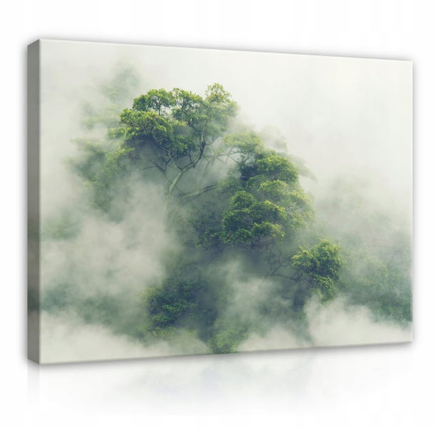 Leinwandbild Wald Nenel Natur Bilder Wohnzimmer 60X40 cm