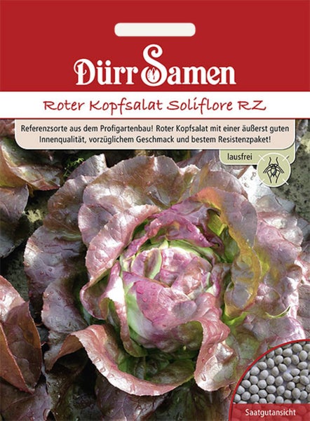 Dürr Samen Logo. Saatgutpackung für Roten Kopfsalat Soliflore RZ mit Abbildung eines reifen Salatkopfes und Saatgutansicht. Lausfrei.