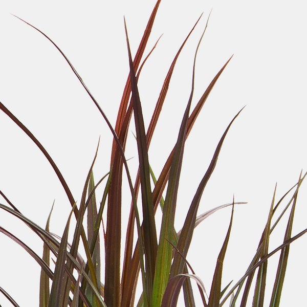 Grüne künstliche Weidenblätter an dünnen Zweigen für Sichtschutz oder Dekoration.