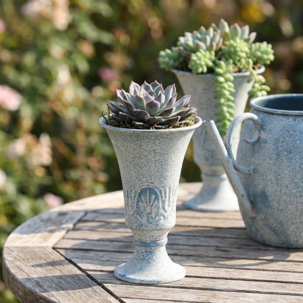 Sukkulenten in dekorativen, kelchförmigen Pflanzgefäßen und eine Gießkanne im Vintage Stil auf einem hölzernen Gartentisch.