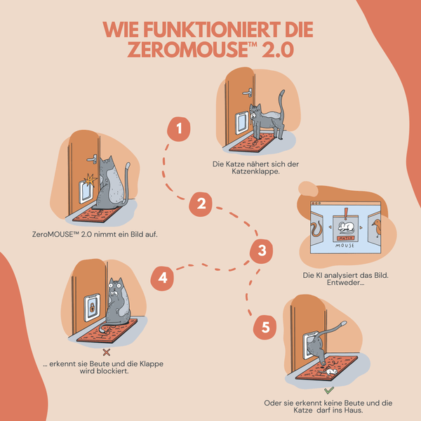 Darstellung der Funktionsweise von ZeroMOUSETM 2.0 in fünf Schritten: Katze nähert sich Katzenklappe, ZeroMOUSETM 2.0 nimmt ein Bild auf, die KI analysiert das Bild und entweder wird Beute erkannt und die Klappe blockiert, oder es wird keine Beute erkannt und die Katze darf ins Haus.
