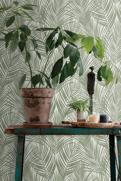 Dekorative Zimmerpflanze in Terrakottatopf auf einem Tisch vor einer Tapete mit Palmenmuster.