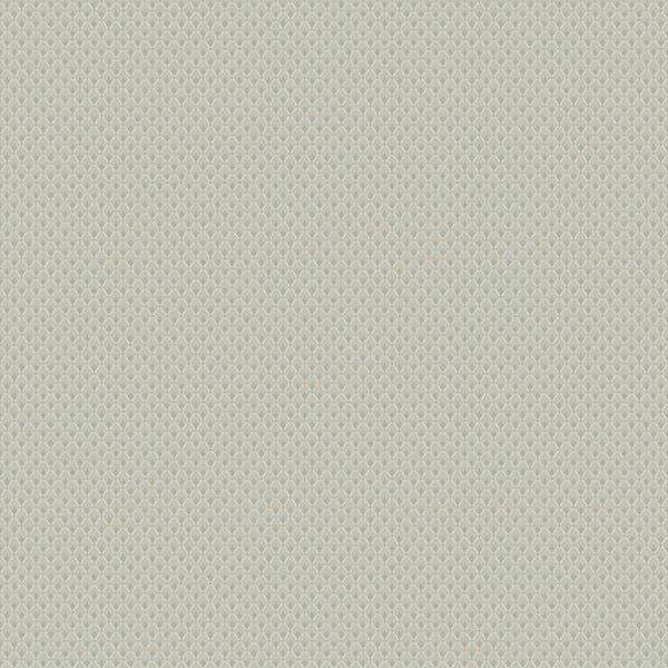 Grüner Frauenfarn im Gartenbeet.