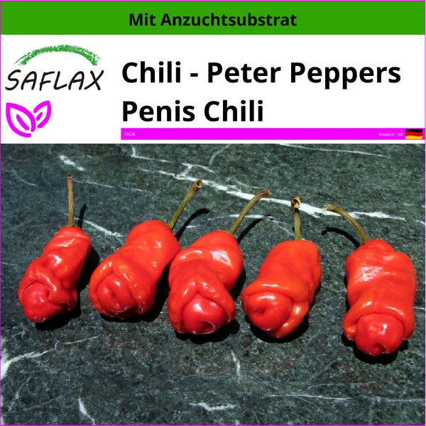 SAFLAX  - Chili - Peter Peppers Penis Chili - Capsicum annuum - 10 Samen - Mit keimfreiem Anzuchtsubstrat