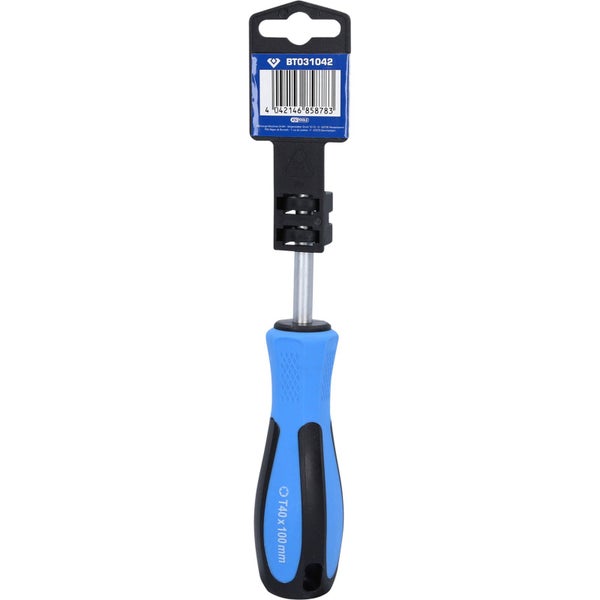 BRILLIANT TOOLS Schraubendreher TORX T40 x 100 mm - BT031042