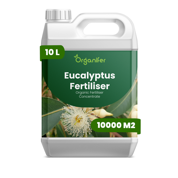 Organifer Eukalyptus Dünger, organisches Düngerkonzentrat, 10 Liter für 10000 Quadratmeter.