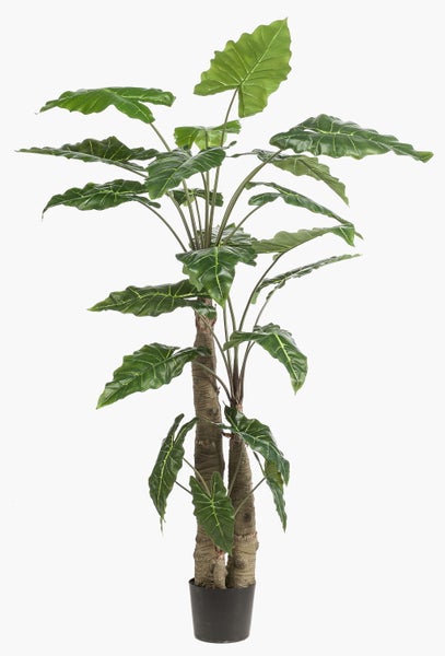Künstliche Alocasia mit großen grünen Blättern und hellen Blattadern.