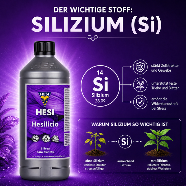 Hesi Hesilicio Silizium Pflanzendünger in der Flasche mit grafischer Erläuterung der Vorteile für die Pflanzenstabilität und das Wachstum.