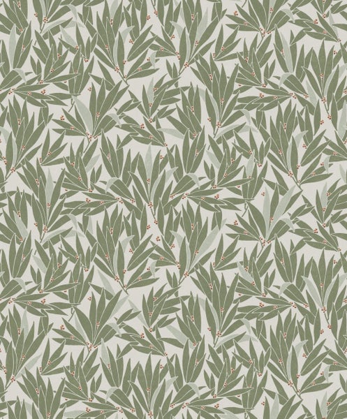 Bosch Schleifscheibenverpackung