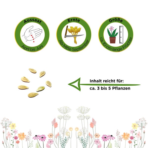 Horngurke Kiwano Samen von Deine Gartenwelt