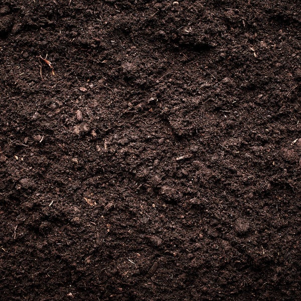 Nahaufnahme von feiner Blumenerde mit organischer Struktur.