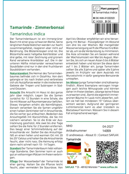 SAFLAX  - Tamarinde - Tamarindus indica - 4 Samen