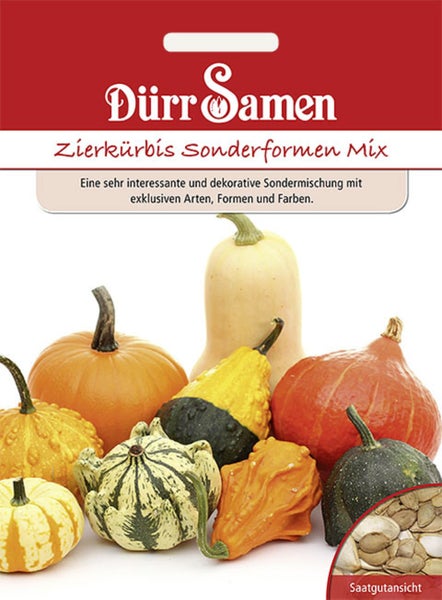 Samentüte Dürr Samen Zierkürbis Sonderformen Mix mit verschiedenen Zierkürbissen und einer Nahaufnahme der Samen.