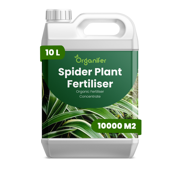 Organischer Grünlilien-Dünger Konzentrat von Organifer, 10 Liter Kanister für circa 10000 Quadratmeter.