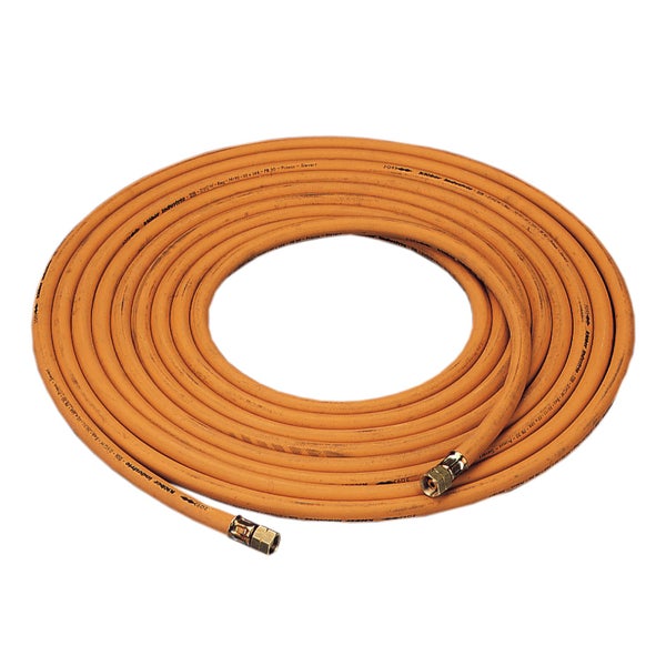 Blühende Statice im Gartenbeet