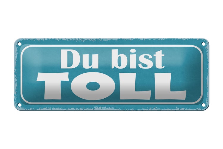 Blechschild Spruch 27x10cm Du bist toll Dekoration