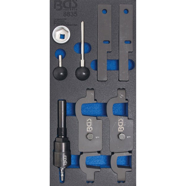 Nahaufnahme einer Gartenhortensie mit Blüten