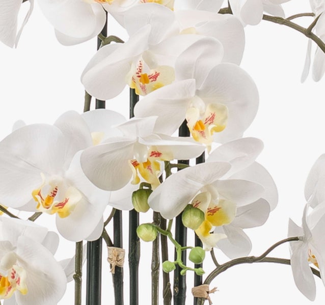Nahaufnahme künstliche weiße Orchideenblüten Phalaenopsis mit gelber Mitte und grünen Stielen.