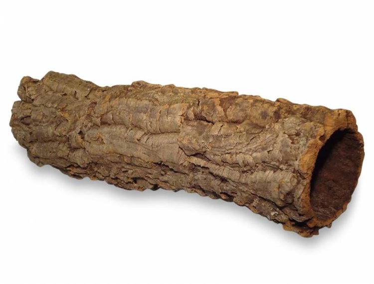 Naturkorkröhre als Versteck für Terrarien und Nager