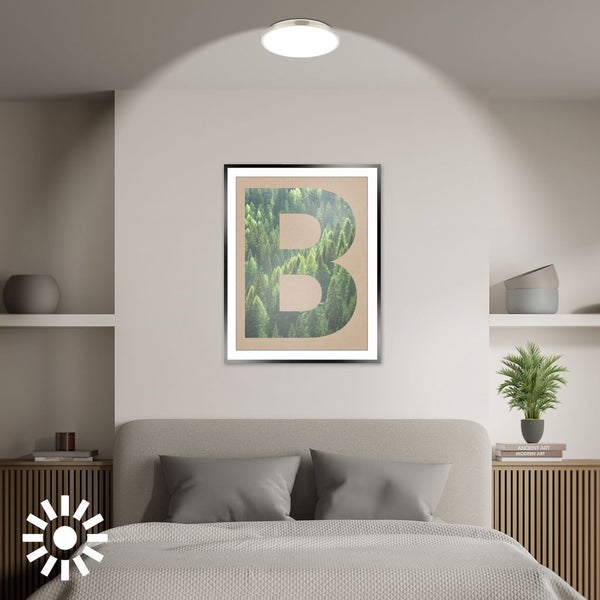 Schlafzimmer mit Deckenleuchte und einem gerahmten Poster mit einem B aus Wald