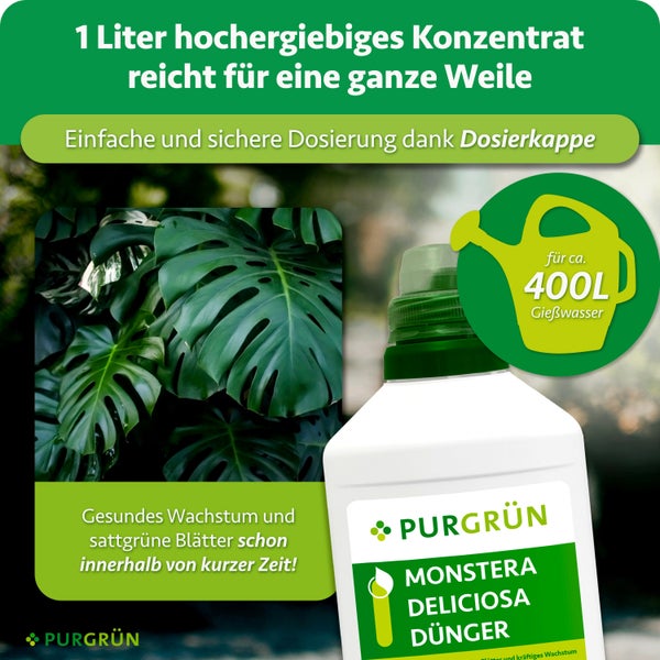 PURGRÜN Monstera Dünger Konzentrat 1 Liter Flasche mit Dosierkappe für gesundes Wachstum von Monstera Deliciosa Pflanzen.