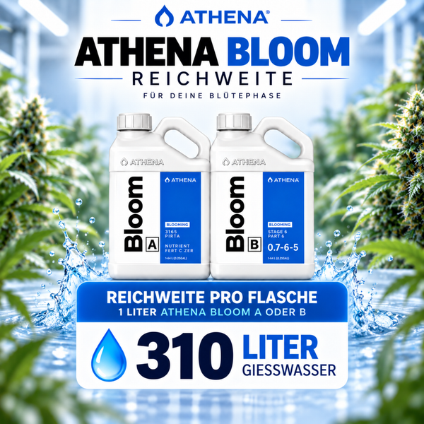 Athena Bloom A und B Dünger für die Blütephase mit Angabe zur Reichweite von 310 Litern Gießwasser pro Liter Düngerflasche.